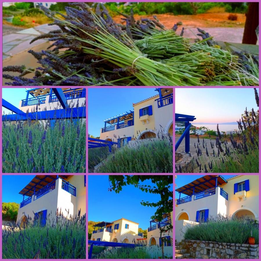 Evangelia House Sea View Apartment *