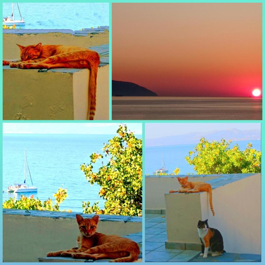 Evangelia House Sea View Agia Pelagia (Kythira)